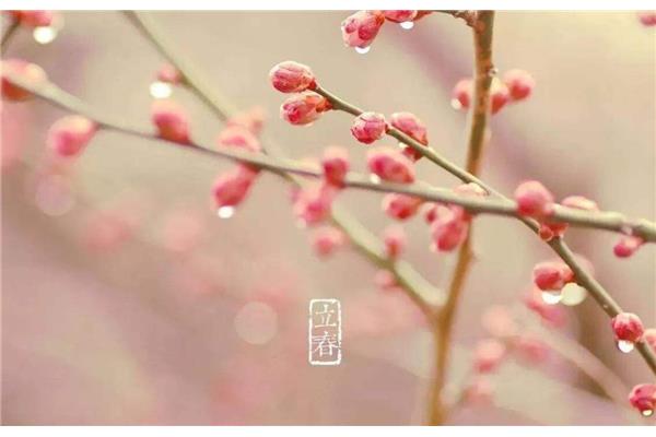 几月几日立春