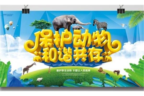 保护动物标语