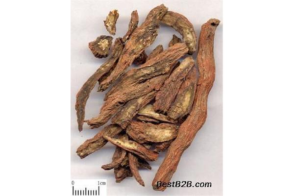 血参的功效与作用