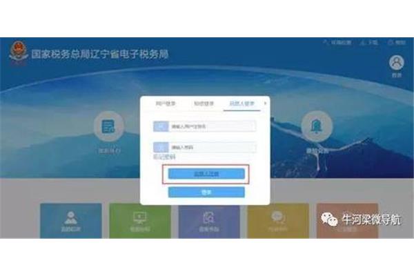 辽宁电子税务局