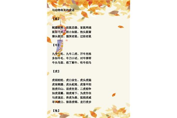 种类多的四字词语