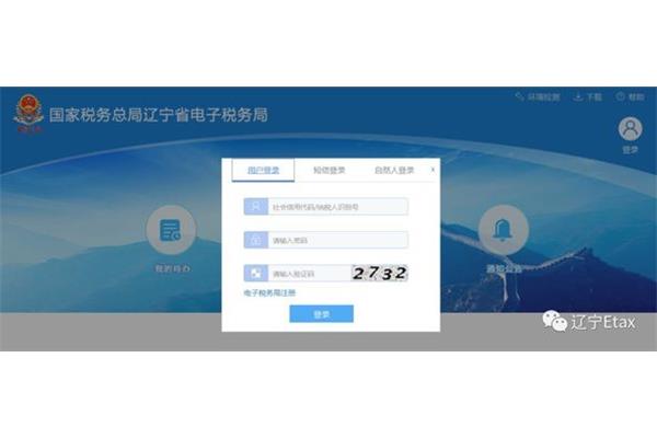 辽宁电子税务局