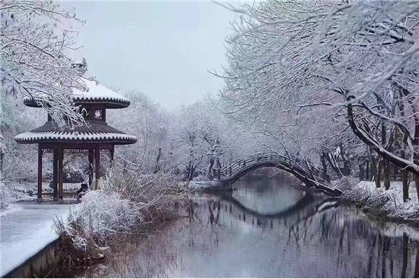 西湖的雪景