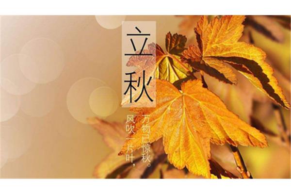 秋天丰收的成语