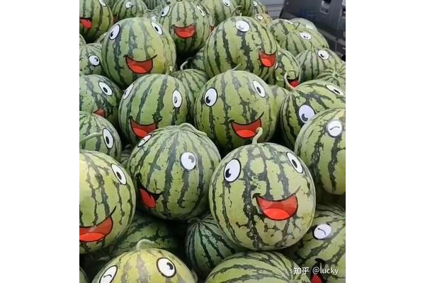 西瓜怎么写