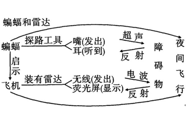 蝙蝠与雷达课文