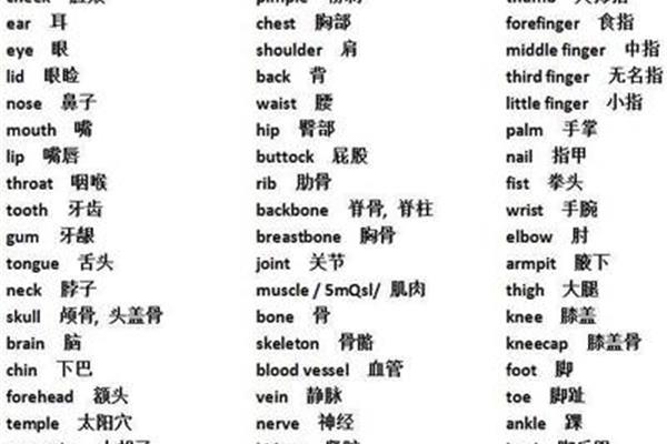 脸的英语单词