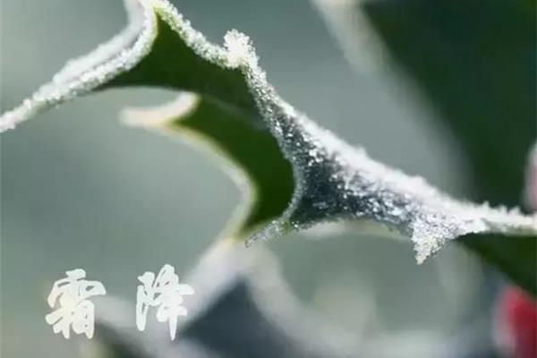 比邂逅更美的词语