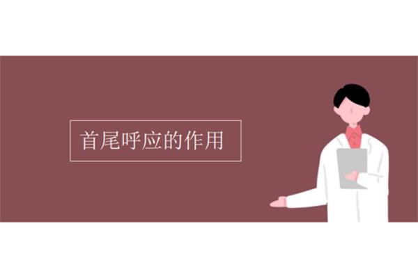 首尾呼应的好处