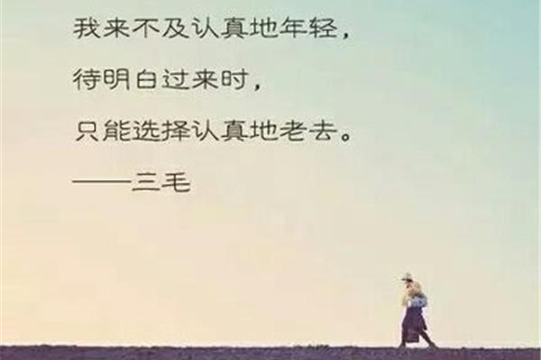 关于选择的诗句