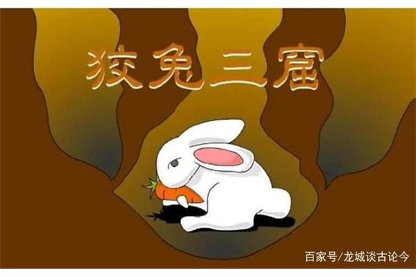 兔的四字词语