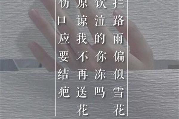 林夕经典歌词