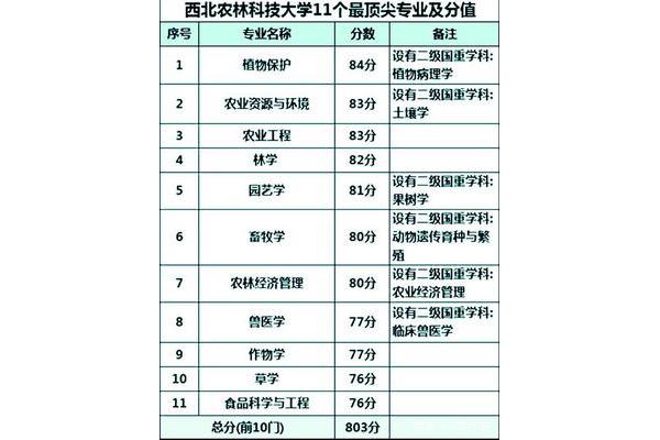 西北大学王牌专业