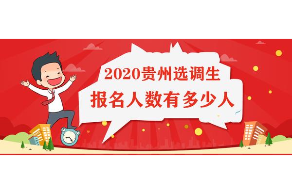 贵州省省考报名
