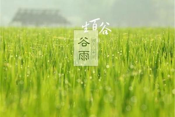 谷雨是哪一天