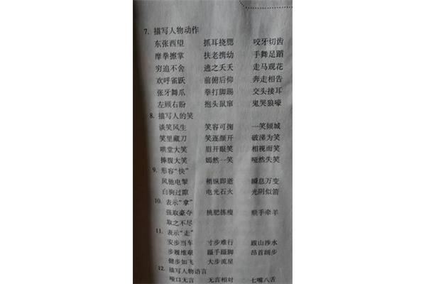 拳可以组什么词语