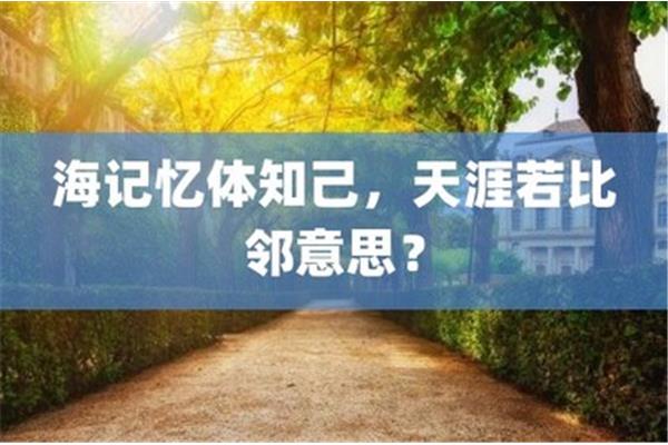 左邻右舍的意思