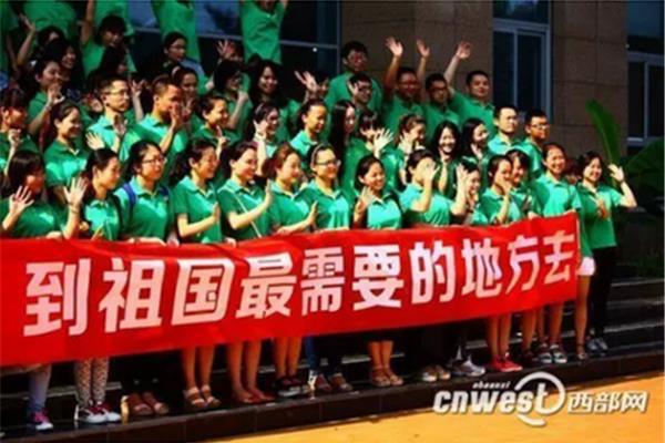 西部计划网
