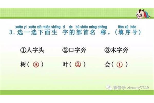 木字旁的生字