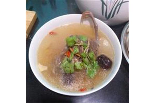 术后鸽子汤