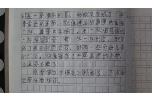三年级作文50字