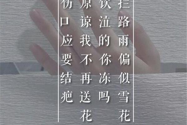 林夕经典歌词
