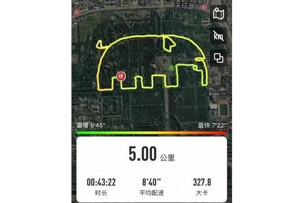 大公鸡导航