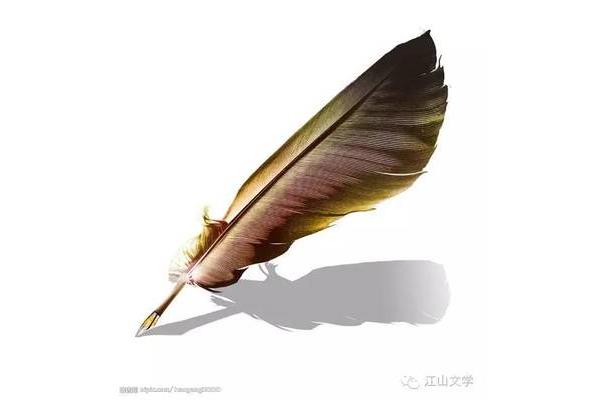 比邂逅更美的词语