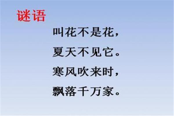关于想的词语