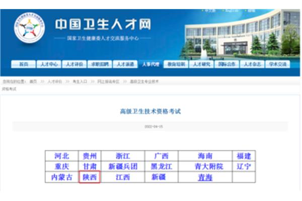 陕西卫生人才网