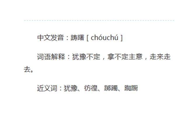主意近义词