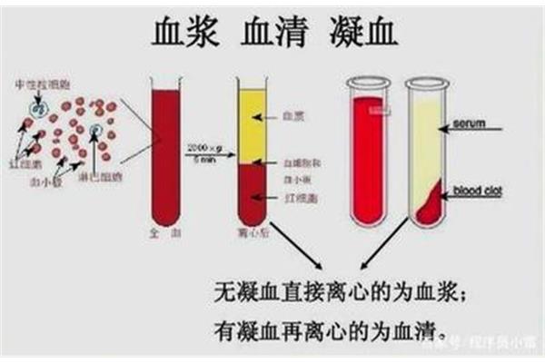 血清与血浆的区别