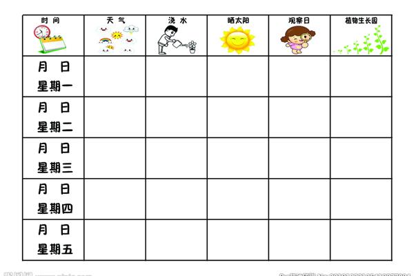 小班观察记录表