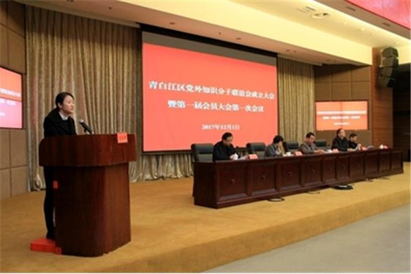 青白江区人民政府
