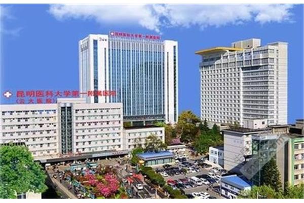云大第一附属医院