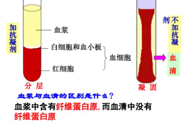 血清与血浆的区别