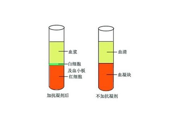 血清与血浆的区别