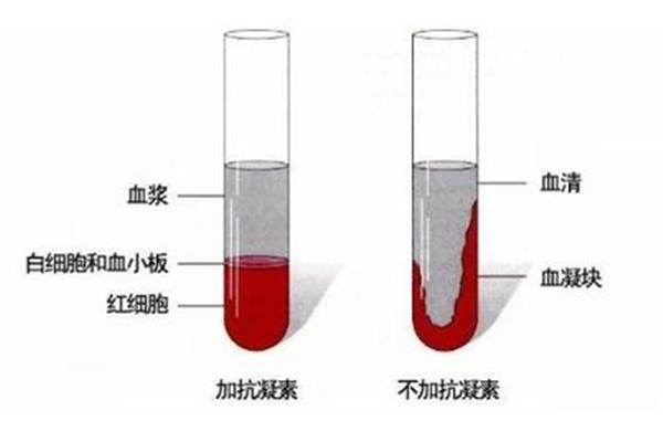 血清与血浆的区别
