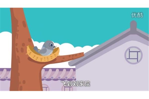 小鸽子儿歌