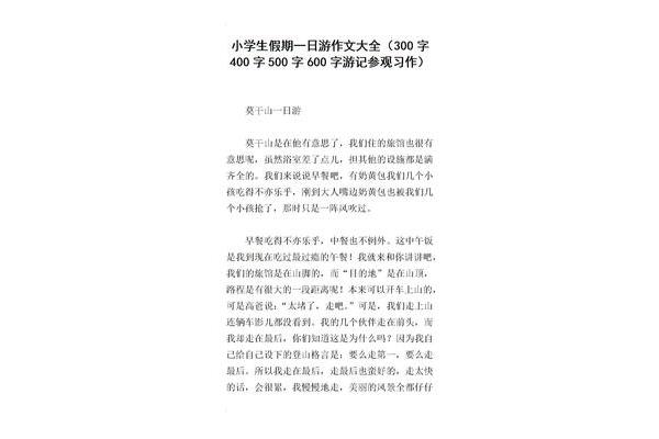 假期总结800字