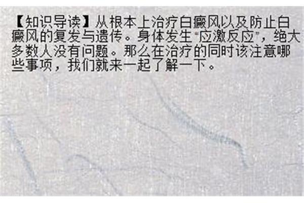 兔子可以吃核桃吗
