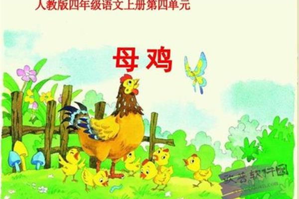 母鸡的作者