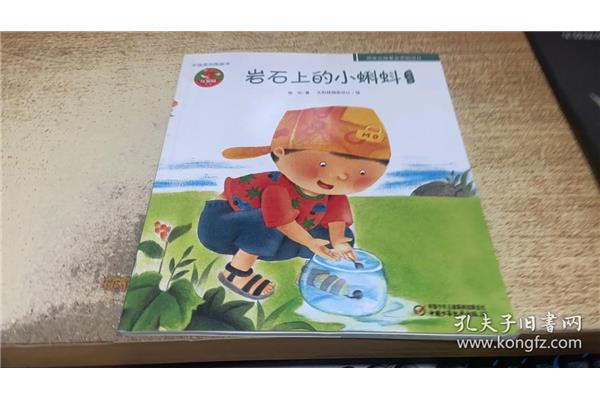 岩石上的小蝌蚪