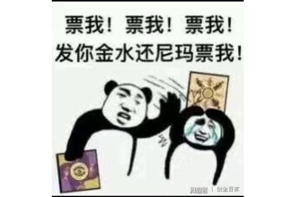 橘子的味道