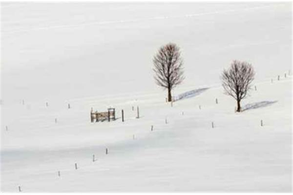 形容大雪的诗句