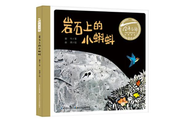 岩石上的小蝌蚪