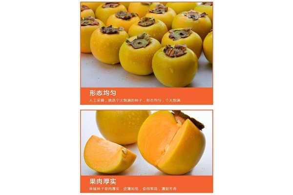 柿蒂的功效与作用