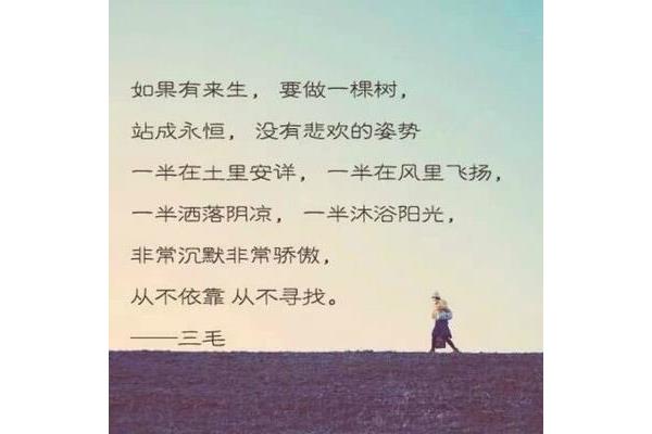 一半一半经典语录