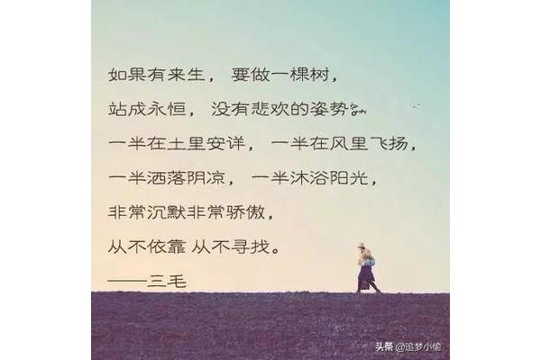一半一半经典语录
