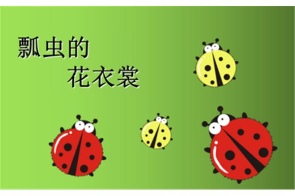 瓢虫的花衣裳